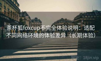 茶杯狐foxcup不完全体验说明：适配不同网络环境的体验差异（长期体验）