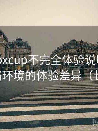 茶杯狐foxcup不完全体验说明：适配不同网络环境的体验差异（长期体验）