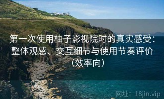 第一次使用柚子影视院时的真实感受：整体观感、交互细节与使用节奏评价（效率向）