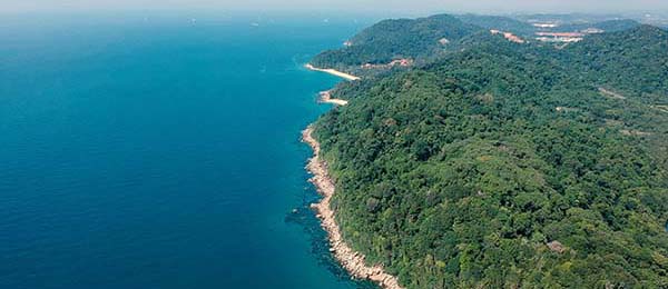 从用户角度聊聊可可影视tv版下载：长期使用后的可靠性与便利性分析