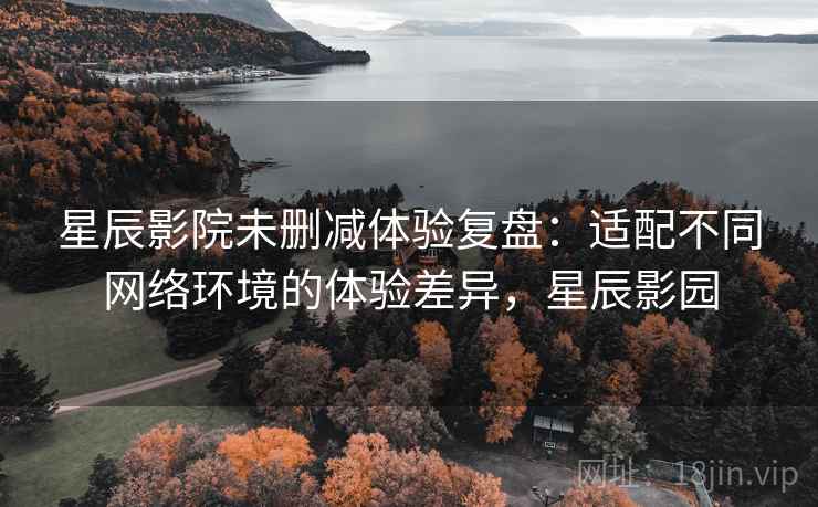 星辰影院未删减体验复盘：适配不同网络环境的体验差异，星辰影园